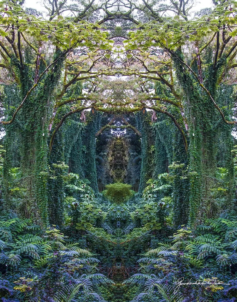 Cathedral &mdash; a mirrored Visual Meditation from the Shangri-La series