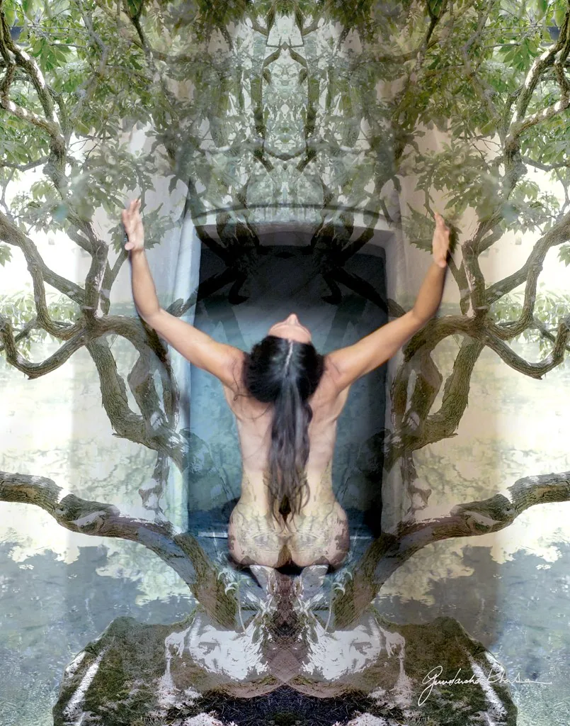 Root to Fruit &mdash; a mirrored Visual Meditation from the Sacred series