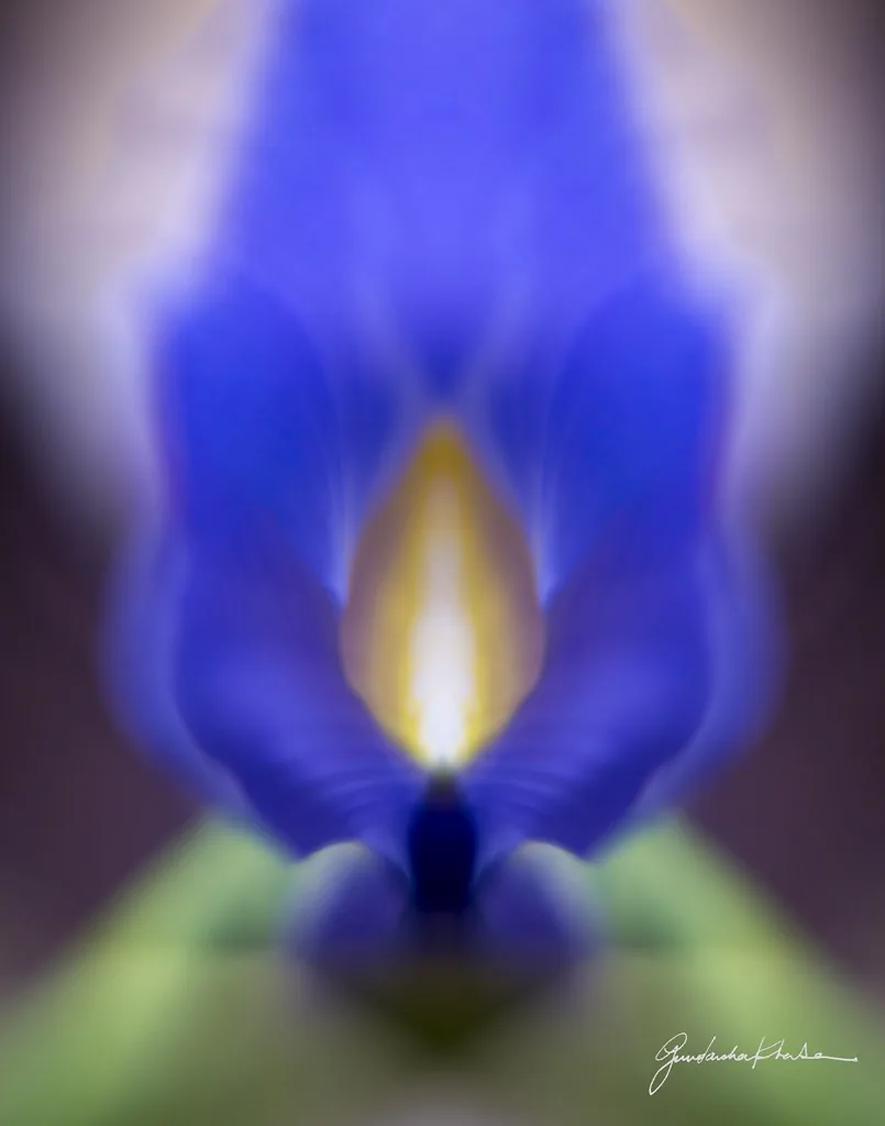 Violet Flame — a mirrored iris like a candle flame
